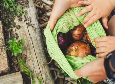 How to Help Fight Food Waste