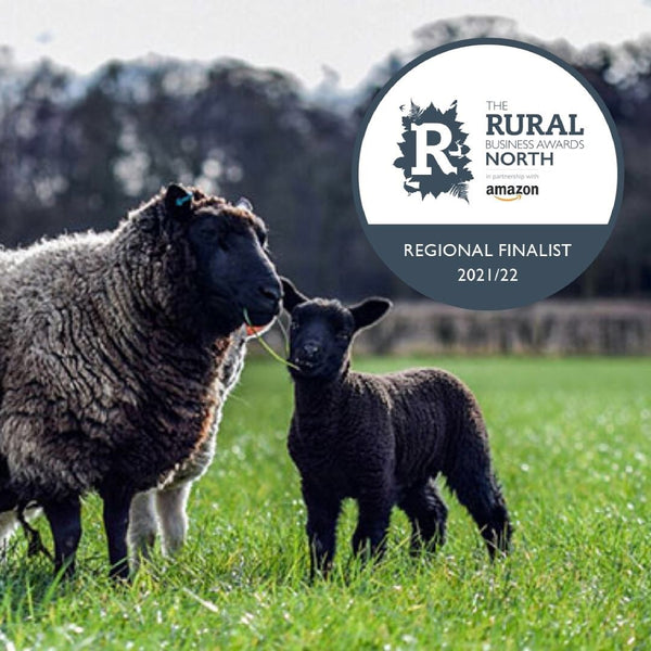 Rural Business Awards Finalists